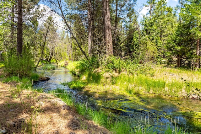 12637 Ivie Ln, Old Station, CA 96071 - water view