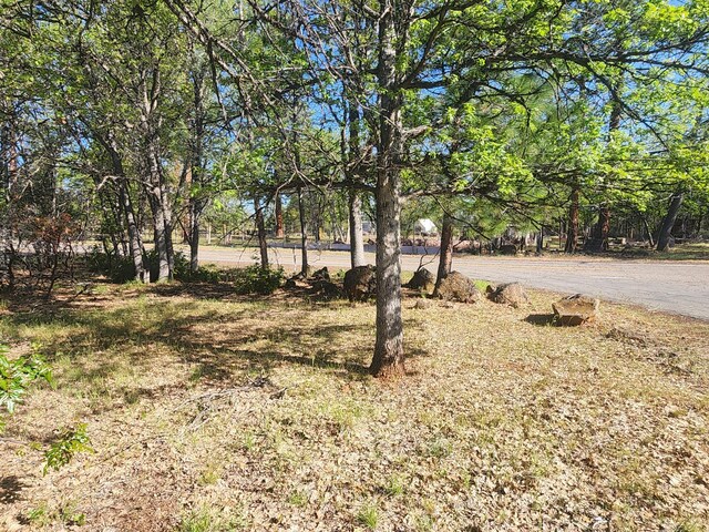 21718 E Cassel Rd, Cassel, CA 96016 - photo 3