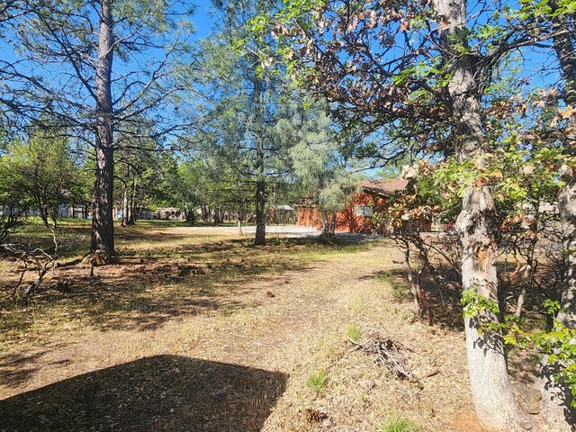 21718 E Cassel Rd, Cassel, CA 96016 - photo 5