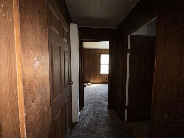 hall featuring wood walls and carpet flooring