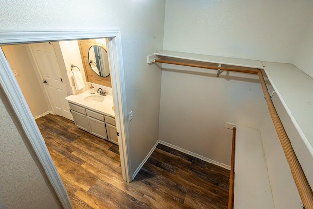 spacious closet with a sink and dark wood-type flooring