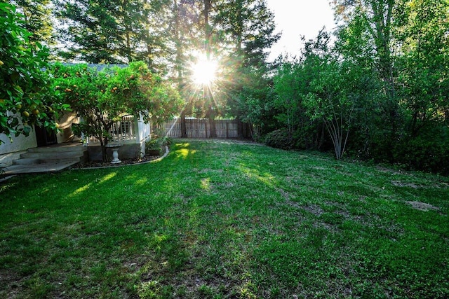 view of yard