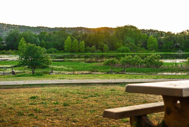 view of home's community featuring a water view and a wooded view