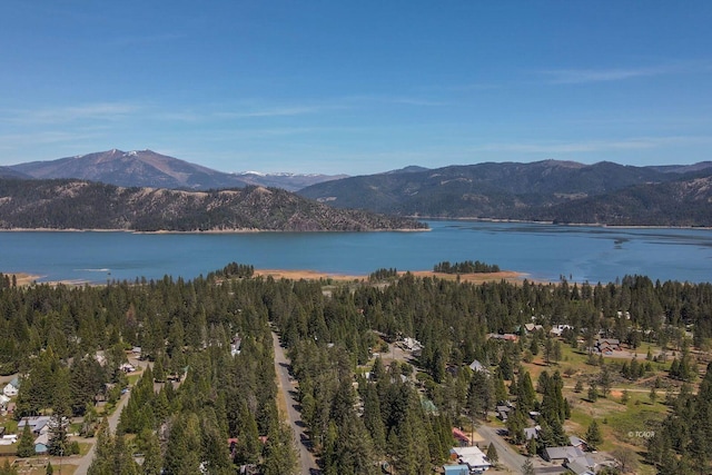 exterior space featuring a water and mountain view and a view of trees