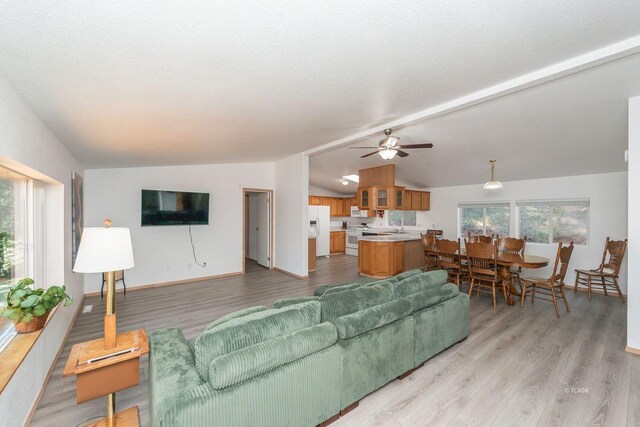 430 Bridge Rd, Douglas City, CA 96024 - photo 4