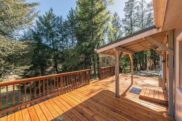 430 Bridge Rd, Douglas City, CA 96024 - photo 30