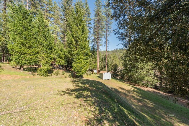 430 Bridge Rd, Douglas City, CA 96024 - photo 33