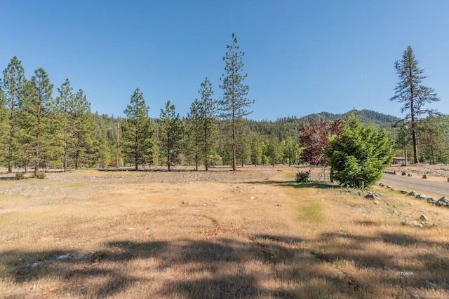 430 Bridge Rd, Douglas City, CA 96024 - photo 37