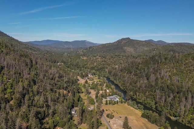 430 Bridge Rd, Douglas City, CA 96024 - photo 38