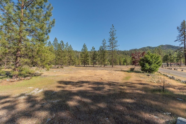 430 Bridge Rd, Douglas City, CA 96024 - photo 39