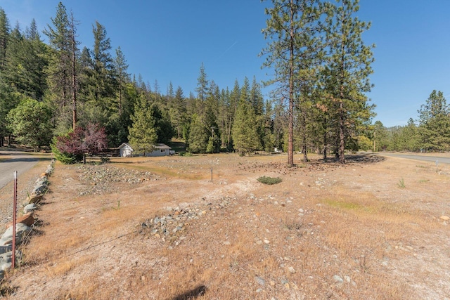 430 Bridge Rd, Douglas City, CA 96024 - photo 41