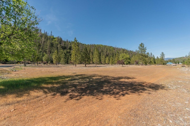 430 Bridge Rd, Douglas City, CA 96024 - photo 43