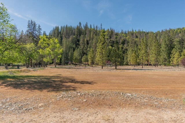 430 Bridge Rd, Douglas City, CA 96024 - photo 46
