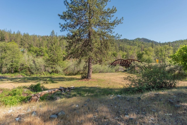 430 Bridge Rd, Douglas City, CA 96024 - photo 47