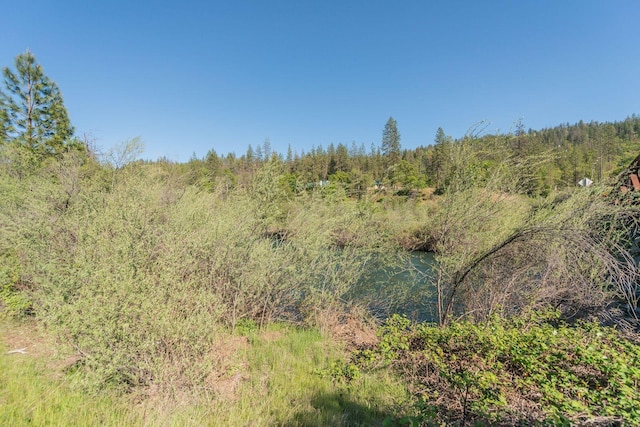 430 Bridge Rd, Douglas City, CA 96024 - photo 48