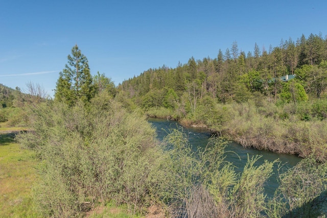430 Bridge Rd, Douglas City, CA 96024 - photo 49