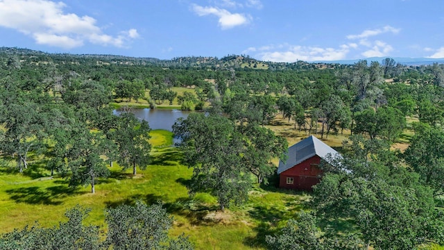 21030 Shangrila Dr, Red Bluff, CA 96080 - view of subject property with a large body of water and a forest