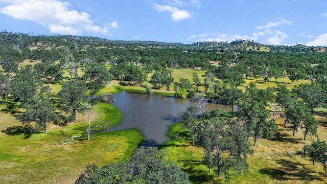 21030 Shangrila Dr, Red Bluff, CA 96080 - aerial view of a large body of water and a heavily wooded area