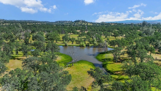 21030 Shangrila Dr, Red Bluff, CA 96080 - bird's eye view of a water and mountain view