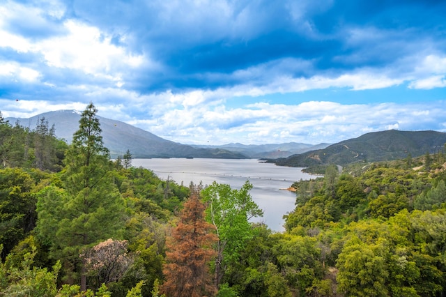 10670 High St, Shasta, CA 96087