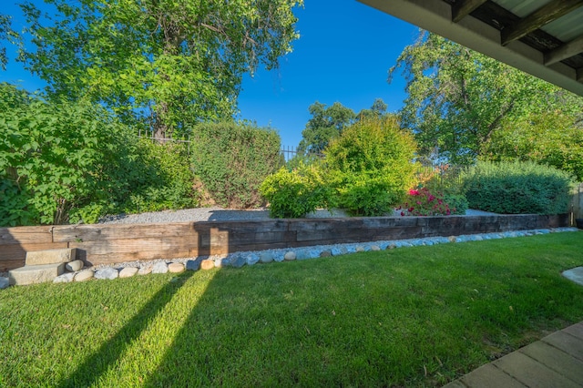 view of grassy yard