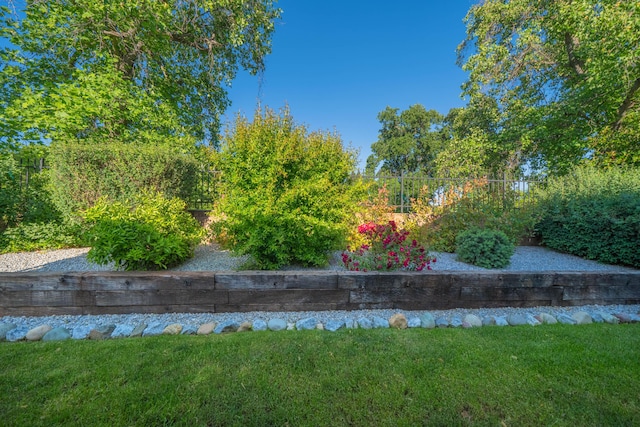 view of grassy yard