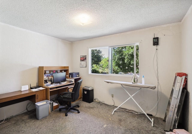 14851 Ravine Rd, Redding, CA 96003 - office space with carpet flooring and a textured ceiling