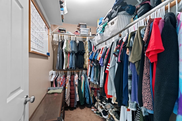 1946 Jeanae Ct, Redding, CA 96002 - spacious closet with carpet flooring