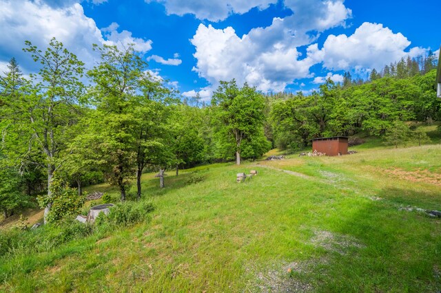 6691 Reading Creek Rd, Douglas City, CA 96024 - photo 64