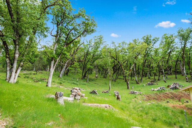 6691 Reading Creek Rd, Douglas City, CA 96024 - photo 74