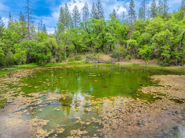 6691 Reading Creek Rd, Douglas City, CA 96024 - photo 77