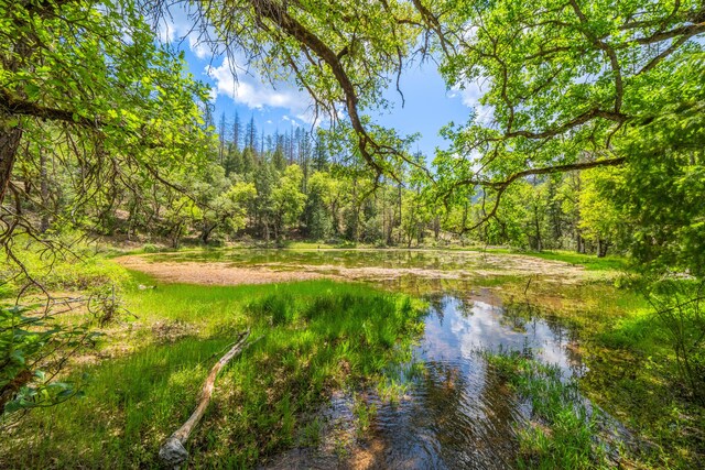 6691 Reading Creek Rd, Douglas City, CA 96024 - photo 81