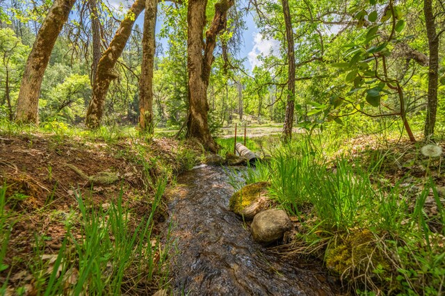 6691 Reading Creek Rd, Douglas City, CA 96024 - photo 82