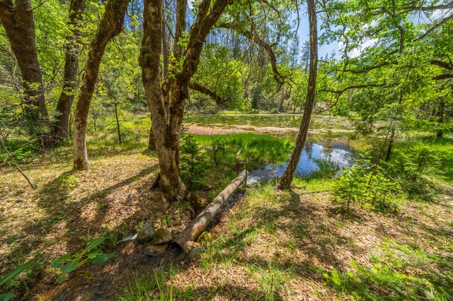 6691 Reading Creek Rd, Douglas City, CA 96024 - photo 83