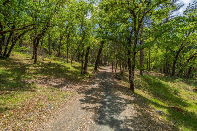 6691 Reading Creek Rd, Douglas City, CA 96024 - photo 88