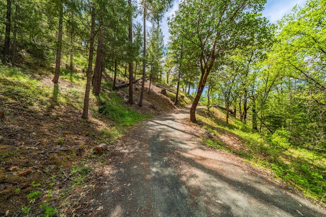 6691 Reading Creek Rd, Douglas City, CA 96024 - photo 89