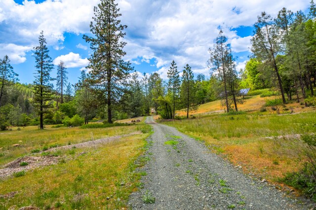 6691 Reading Creek Rd, Douglas City, CA 96024 - photo 91