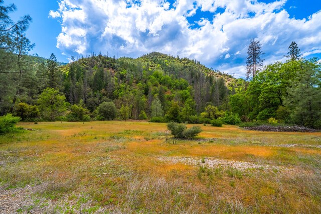 6691 Reading Creek Rd, Douglas City, CA 96024 - photo 92