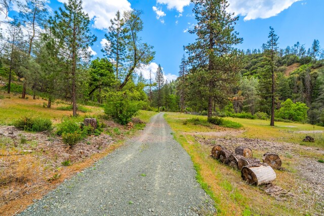 6691 Reading Creek Rd, Douglas City, CA 96024 - photo 93