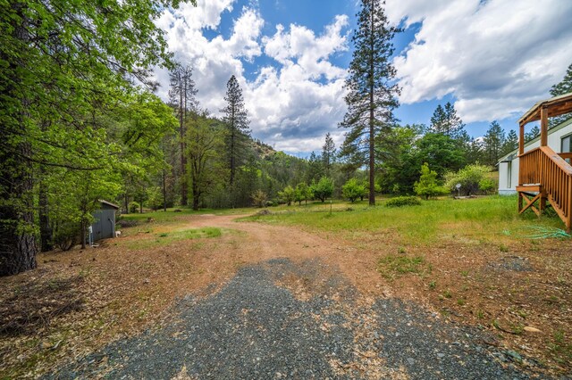 6691 Reading Creek Rd, Douglas City, CA 96024 - photo 96