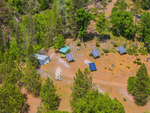 6691 Reading Creek Rd, Douglas City, CA 96024 - photo 102