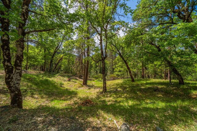 6691 Reading Creek Rd, Douglas City, CA 96024 - photo 113