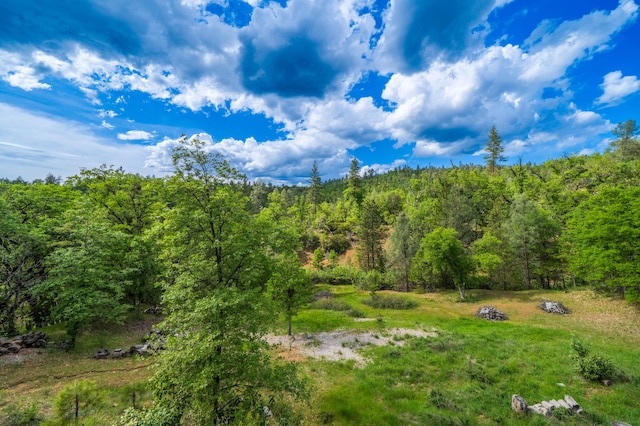 6691 Reading Creek Rd, Douglas City, CA 96024 - photo 115