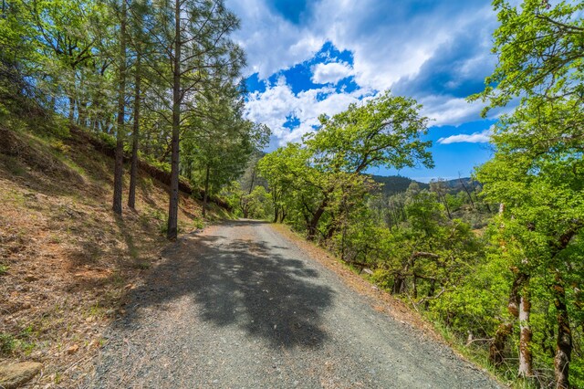 6691 Reading Creek Rd, Douglas City, CA 96024 - photo 116
