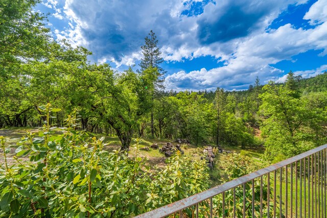 6691 Reading Creek Rd, Douglas City, CA 96024 - photo 117
