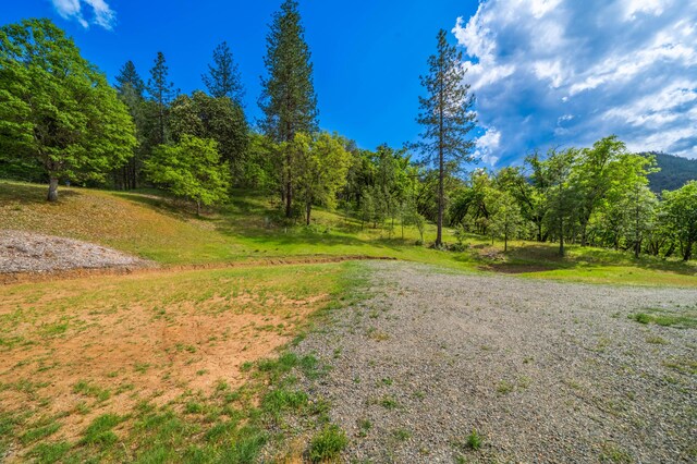 6691 Reading Creek Rd, Douglas City, CA 96024 - photo 121