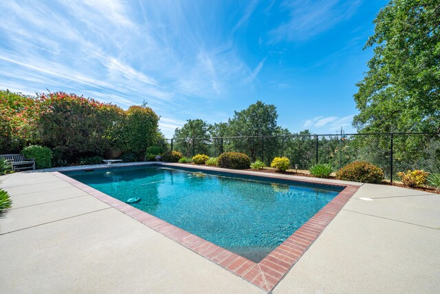 view of swimming pool featuring fence, a patio area, and a diving board
