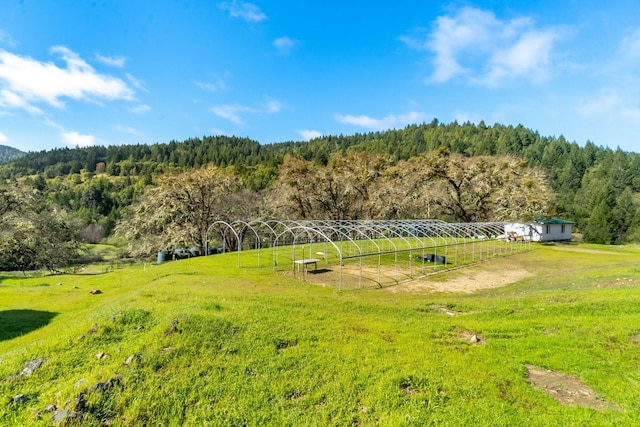 8686 Bell Springs Rd, Garberville, CA 95542 - view of yard with a view of rural / pastoral area and a wooded view