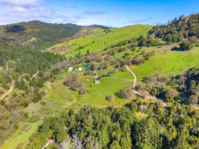 8686 Bell Springs Rd, Garberville, CA 95542 - view of property location with a mountainous background and a heavily wooded area
