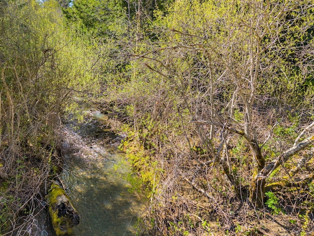 8686 Bell Springs Rd, Garberville, CA 95542 - view of undeveloped land